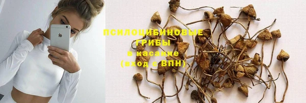 амф Богданович