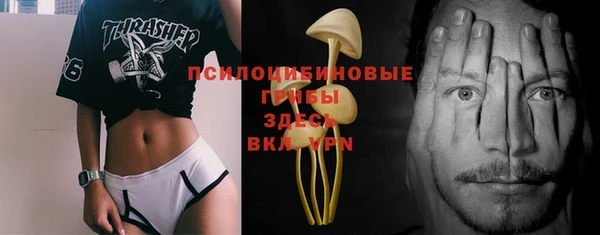 таблы Белокуриха