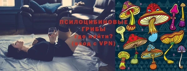 таблы Белокуриха