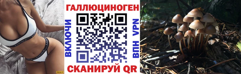 Галлюциногенные грибы прущие грибы  Дальнегорск 